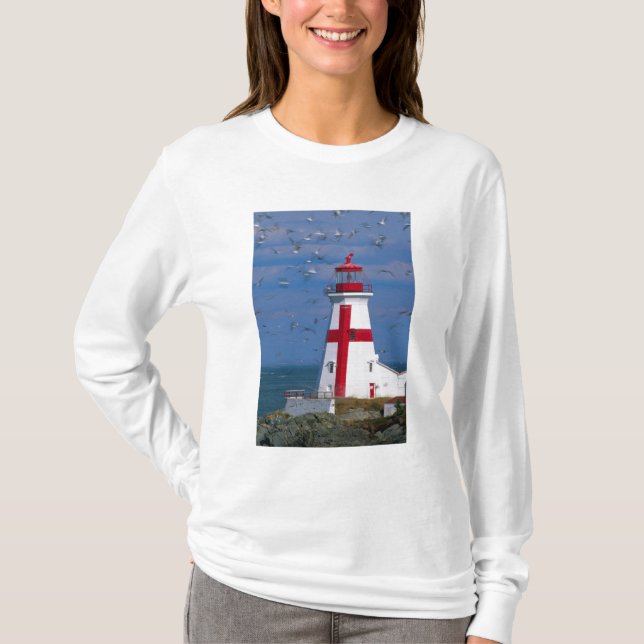 Camiseta NA, Canadá, New Brunswick, Ilha Campobello.8 (Frente)