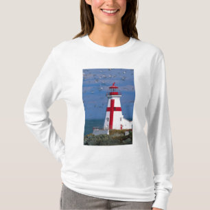 Camiseta NA, Canadá, Nova Brunswick, Ilha Campobello. 8
