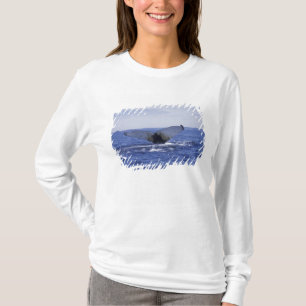 Camiseta NA, Canadá, Terra Nova, Baía da Trindade. Jubarte