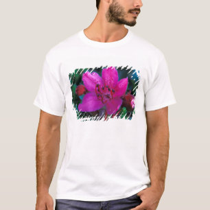 Camiseta NA, EUA, Alasca, Ilhas Aleutas, Flores Silvestres