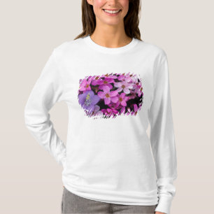 Camiseta NA, EUA, Alasca, Ilhas Aleutas, Flores silvestres