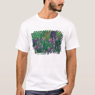 Camiseta NA, EUA, Alasca, Ilhas Aleutas, Unalaska,