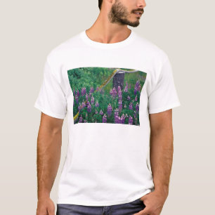 Camiseta NA, EUA, Alasca, Ilhas Aleutas, Unalaska,