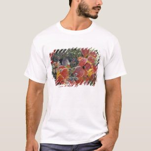 Camiseta NA, EUA, Alasca. Parque Nacional Denali. Bearberry