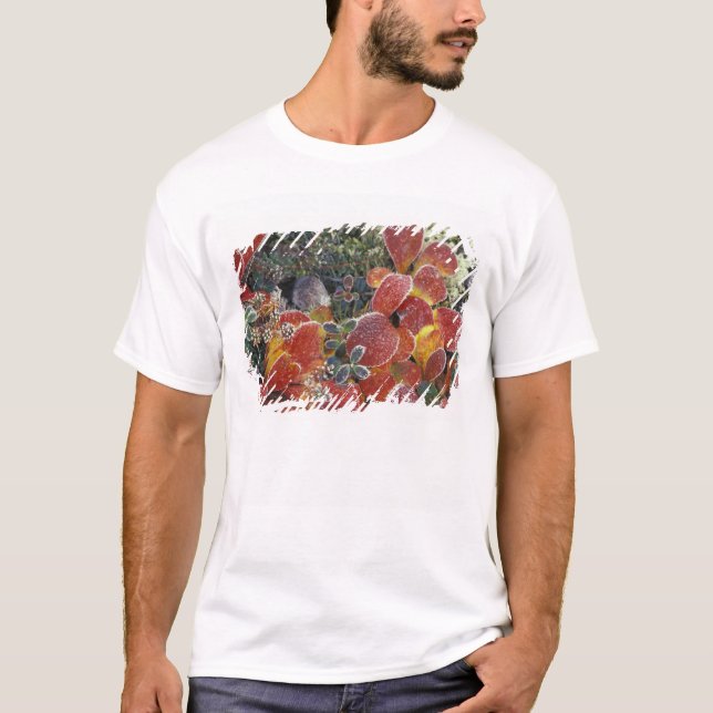 Camiseta NA, EUA, Alasca. Parque Nacional Denali. Bearberry (Frente)