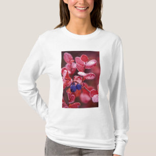 Camiseta NA, EUA, Alasca, Parque Nacional Denali, Mirtilos