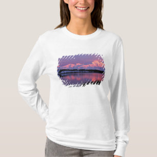 Camiseta NA, EUA, Alasca, Parque Nacional Denali, Mt. McKin