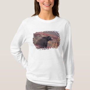 Camiseta NA, EUA, Alasca, Parque Nacional Denali. Uma fêmea