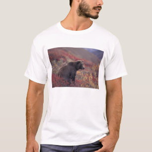 Camiseta NA, EUA, Alasca, Parque Nacional Denali. Uma fêmea