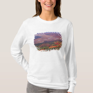 Camiseta NA, EUA, Alasca, Parque Nacional Denali, Vista do