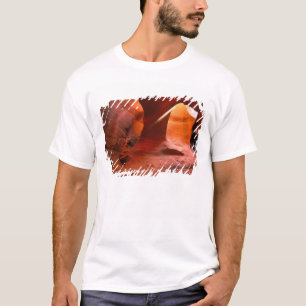 Camiseta NA, EUA, Arizona, Paria Canyon. Arenito