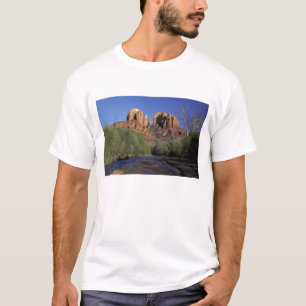 Camiseta NA, EUA, Arizona, Sedona. Cathedral Rock e Oak