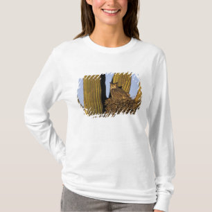 Camiseta NA, EUA, Arizona, Tucson. Coruja-grande