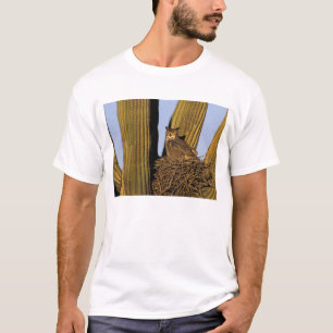 Camiseta NA, EUA, Arizona, Tucson. Coruja-grande