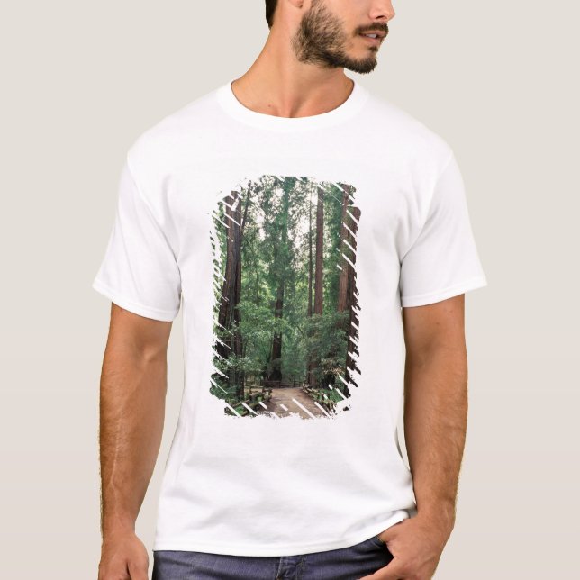 Camiseta NA, EUA, Califórnia, Condado de Marin, Muir Woods (Frente)