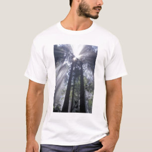 Camiseta NA, EUA, Califórnia. Costa Del Norte State