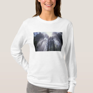 Camiseta NA, EUA, Califórnia. Del Norte Coast State 2