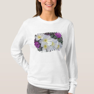 Camiseta NA, EUA, Califórnia, Deserto Anza Borrego