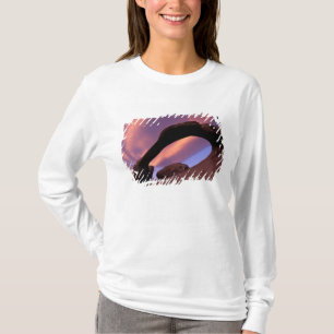 Camiseta NA, EUA, Califórnia, Eastern Sierra, Alabama