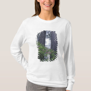 Camiseta NA, EUA, Califórnia. Parque Estadual da Costa Del 