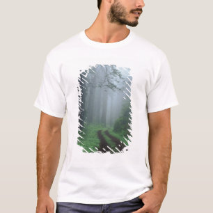 Camiseta NA, EUA, Califórnia. Parque Estadual da Costa Nor