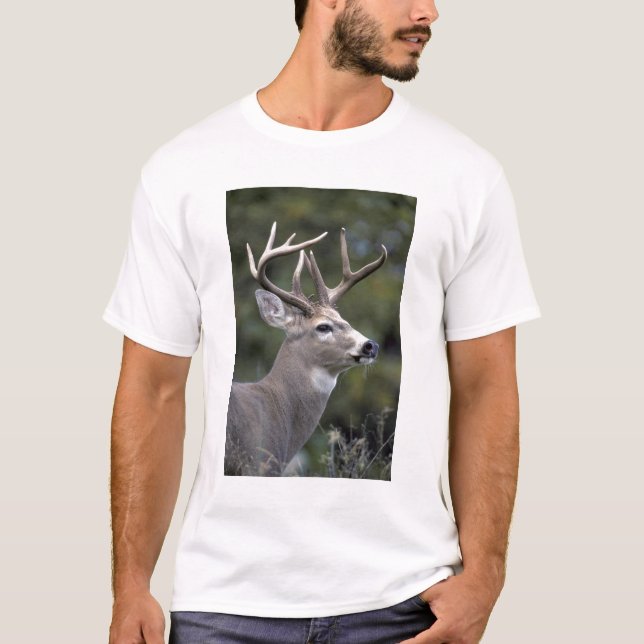 Camiseta NA, EUA, Estado de Washington, Veado-de-cauda-bran (Frente)