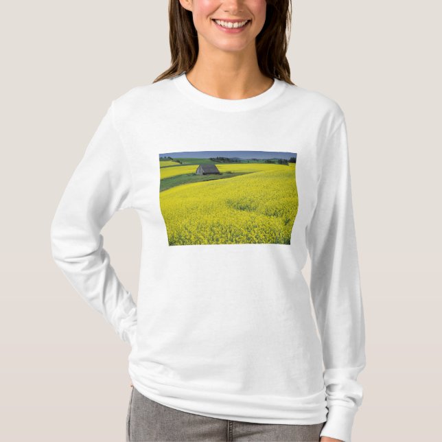 Camiseta NA, EUA, Idaho, perto de Potlatch, Celeiro de made (Frente)