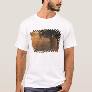 Camiseta NA, EUA, Kentucky. Nascer do sol enevoado no Kentu