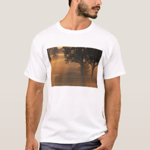 Camiseta NA, EUA, Kentucky. Nascer do sol enevoado no Kentu