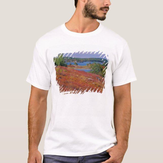 Camiseta NA, EUA, Maine. Barrens de mirtilo. (Frente)