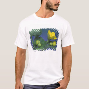 Camiseta NA, EUA, Michigan, Rochester Hills. Pântano
