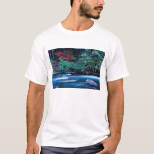 Camiseta NA, EUA, Oregon, Folhagem de Outono no North Umpqu