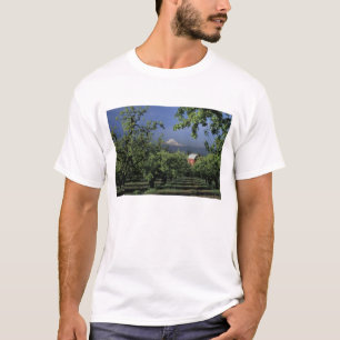 Camiseta NA, EUA, Oregon, perto de Hood River Mt. Hood com