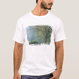 Camiseta NA, EUA, Tennessee, Cades Cove, Grande Smoky