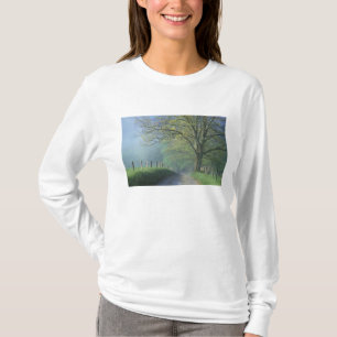 Camiseta NA, EUA, Tennessee, Cades Cove, Grande Smoky