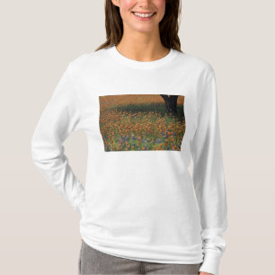 Camiseta NA, EUA, Texas, Hill Country, Pincel e