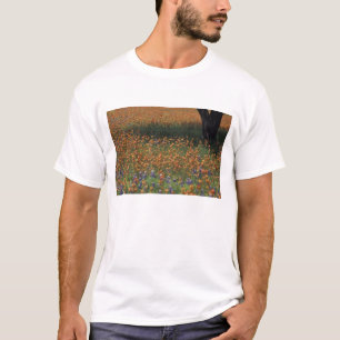 Camiseta NA, EUA, Texas, Hill Country, Pincel e