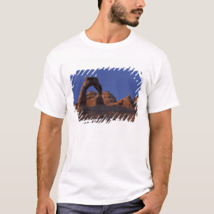 Camiseta NA, EUA, Utah, Parque Nacional Arches. Delicado