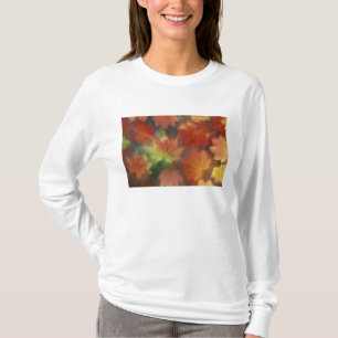 Camiseta NA, EUA, Washington, Issaquah, Bordo de vinha