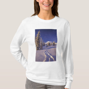 Camiseta NA, EUA, Washington, Mt. Rainier NP, Neve