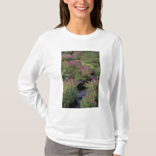 Camiseta NA, EUA, Washington, Mt. Rainier NP, Rosa