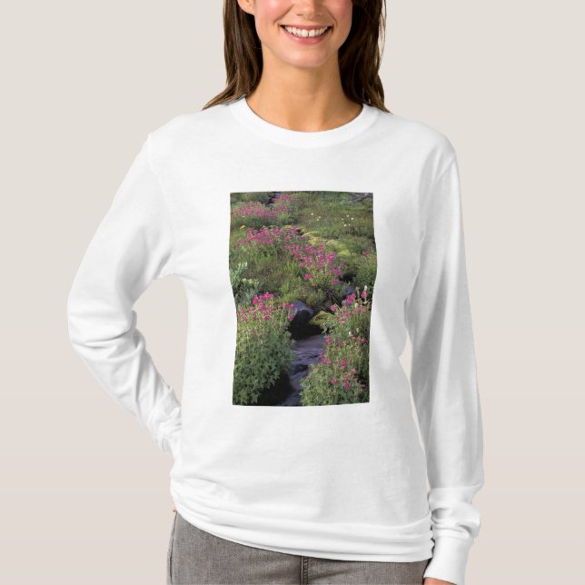 Camiseta NA, EUA, Washington, Mt. Rainier NP, Rosa (Frente)