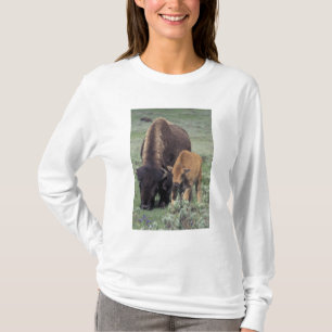 Camiseta NA, EUA, Wyoming, Parque Nacional de Yellowstone.