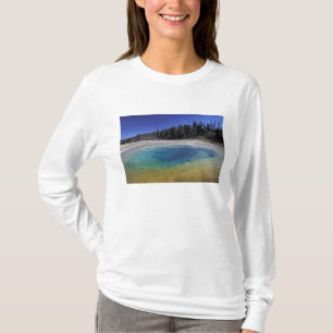 Camiseta NA, EUA, Wyoming, Parque Nacional de Yellowstone. 