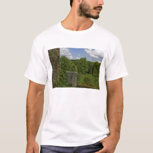 Camiseta Na Irlanda, no Castelo de Blarney, uma torre de pe