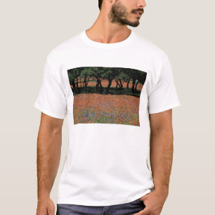 Camiseta NA, Texas, Texas Hill Country, Buchan Dam,