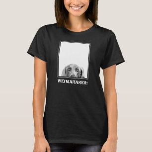 Camiseta Nação de Weimaraner: Weimaraner em uma caixa!