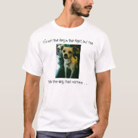 Não é o cão na luta…