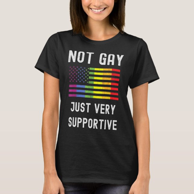 Camiseta Não Gay Apenas Uma Igualdade De Orgulho Lgbt Muito (Frente)