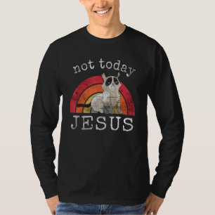 Camiseta Não Hoje Jesus Gato Satanico Arco-íris